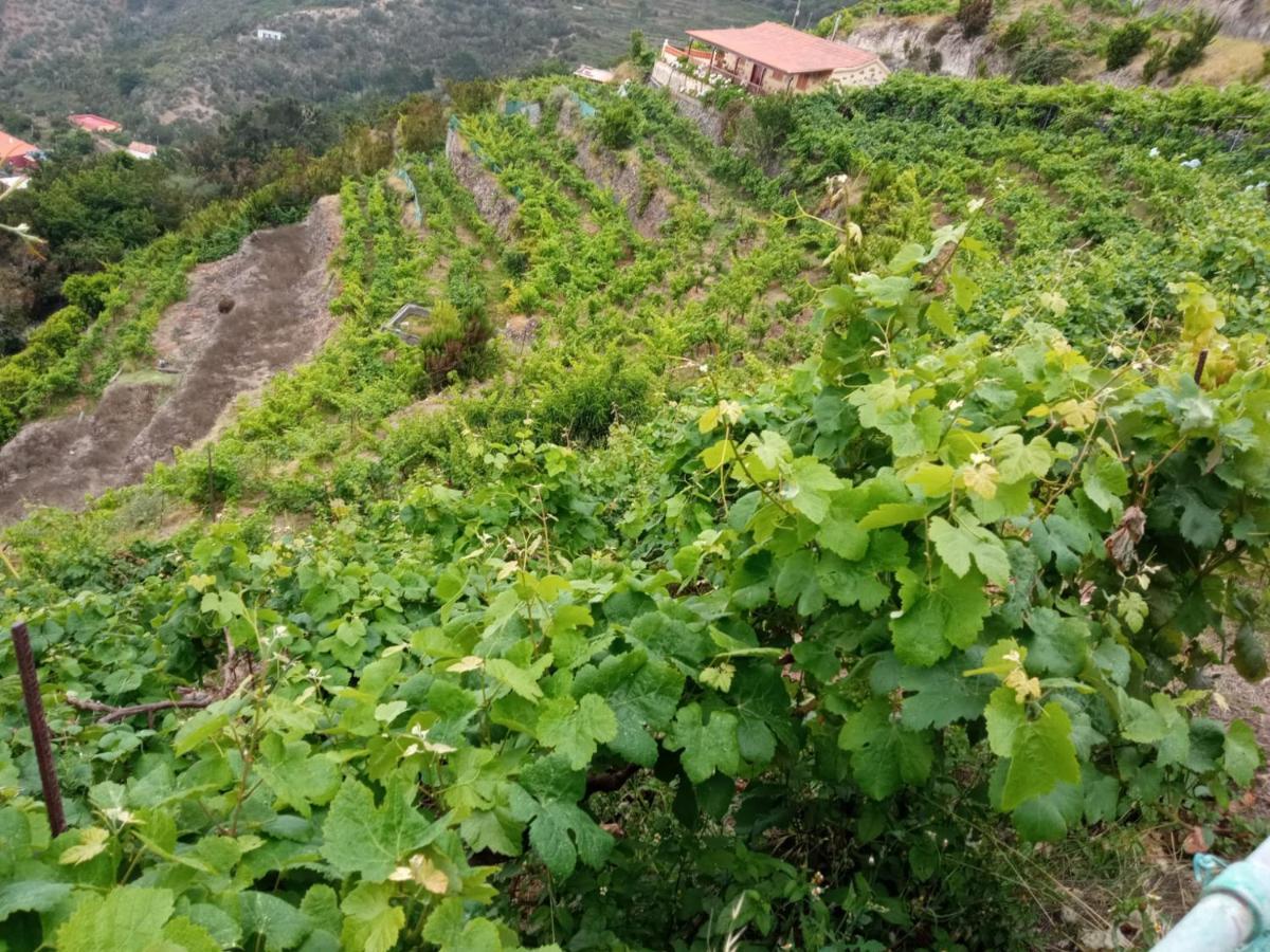 Casa Rural Quilla Agulo Екстер'єр фото