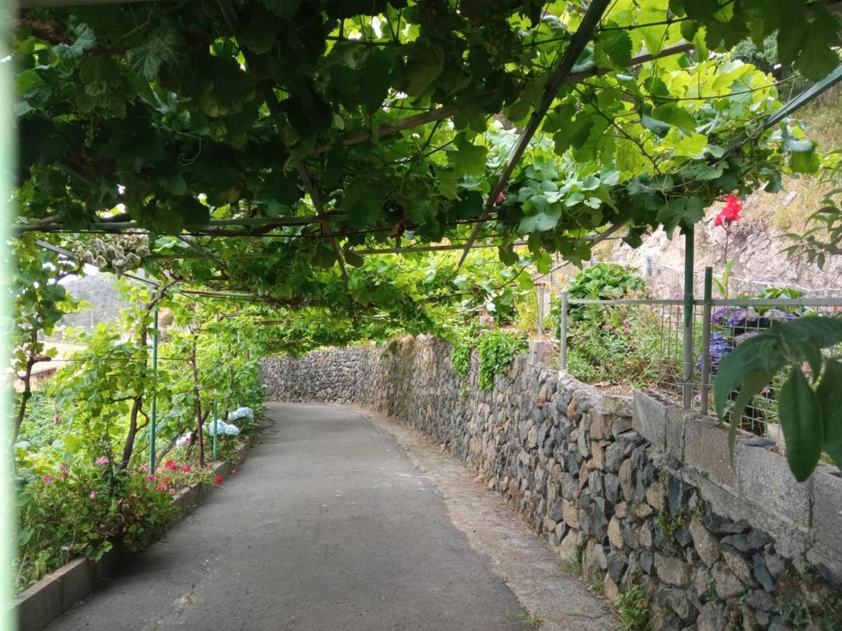 Casa Rural Quilla Agulo Екстер'єр фото