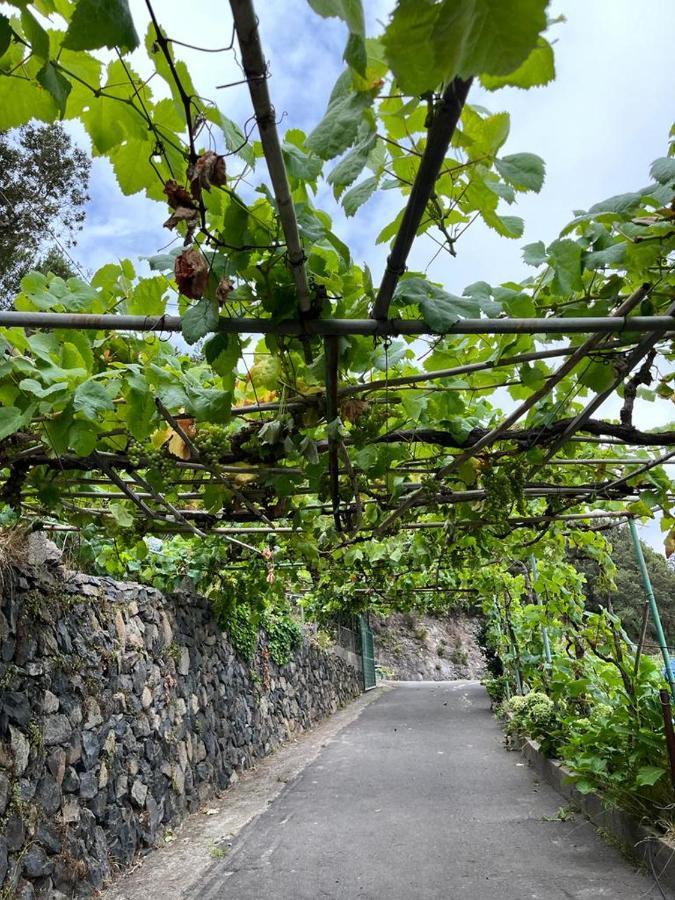 Casa Rural Quilla Agulo Екстер'єр фото