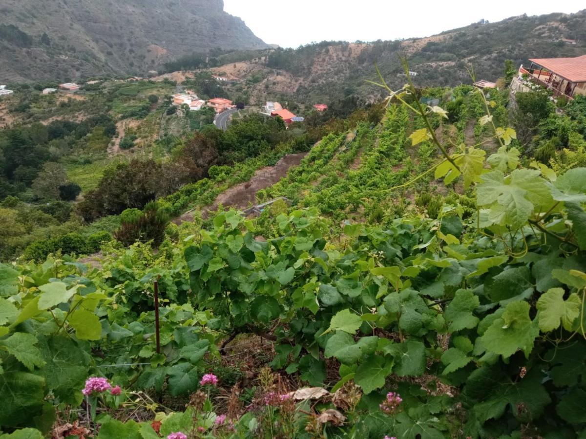 Casa Rural Quilla Agulo Екстер'єр фото